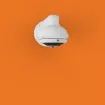 Digital Watchdog - DWC-PPVF5Di1TW - MEGApix 5MP fisheye IP camera with fisheye lens and IR with IVA license