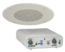 LOUROE - LE-371 - Single Zone, Bi-directional w/ TLI-CF