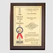 Rip-Tie - Q-55-252-BK - 1/4 Inch Wide Rip-Tie mini
