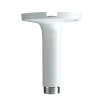 Speco - CLT1 - Ceiling Mount