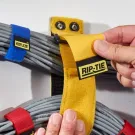Rip-Tie - OW-22 - Two Inch Wide CinchStrap with End Grommets with Webbing 2" x 22