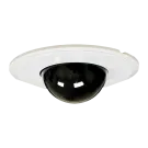 SPECO - DFM - Dome Flush Mount Kit - See Catalog or Spec Sheet for Models Covered