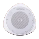 SPECO - SP30PT - 30 Watt RMS 5" Pendant Speaker with Hanging Chain
