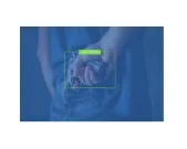 Ganz - ZNS-CVA-GUN-1 - Weapon Detector CVA License (Cortrol Video Analytics)
