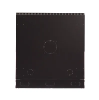 Kendall Howard - 3131-3-001-18 - 18U LINIER® Swing-Out Wall Mount Cabinet - Solid Door