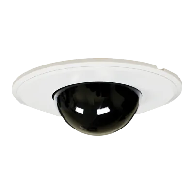 SPECO - DFM - Dome Flush Mount Kit - See Catalog or Spec Sheet for Models Covered