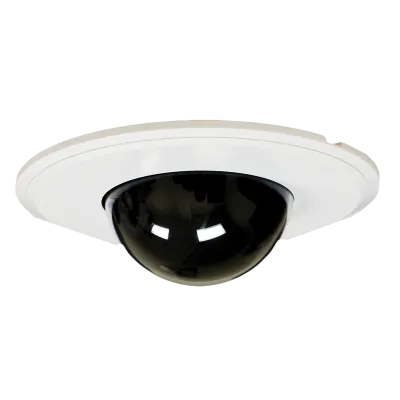 SPECO - DFM1 - Dome Flush Mount Kit w/ 1 Adaptor for 6246 Housing