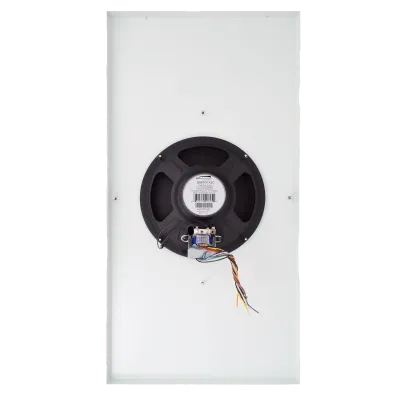 SPECO - G86TG1X2 - 1'x2' G86 Ceiling Tile Speaker
