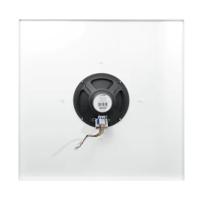 SPECO - G86TG2X2 - 2'x2' G86 Ceiling Tile Speaker
