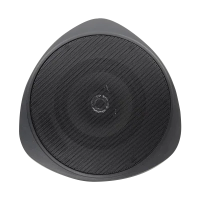 SPECO - SP30PTB - 30 Watt RMS 5" Pendant Speaker with Hanging Chain - Black