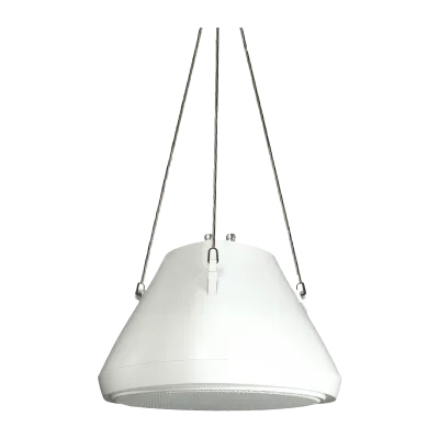 SPECO - SP30PT - 30 Watt RMS 5" Pendant Speaker with Hanging Chain