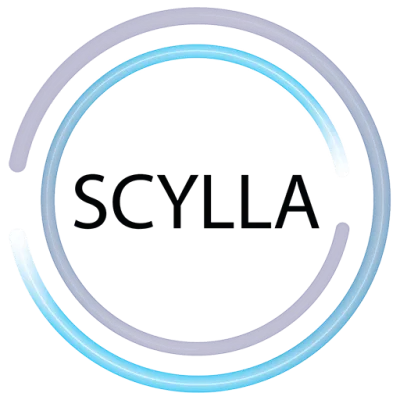 Scylla AI - VAD-O-1 - Vandalism Detection On-Premise 1 Year License