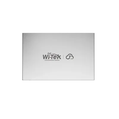 Wi-Tek - WI-ER205 - PoE Gateway